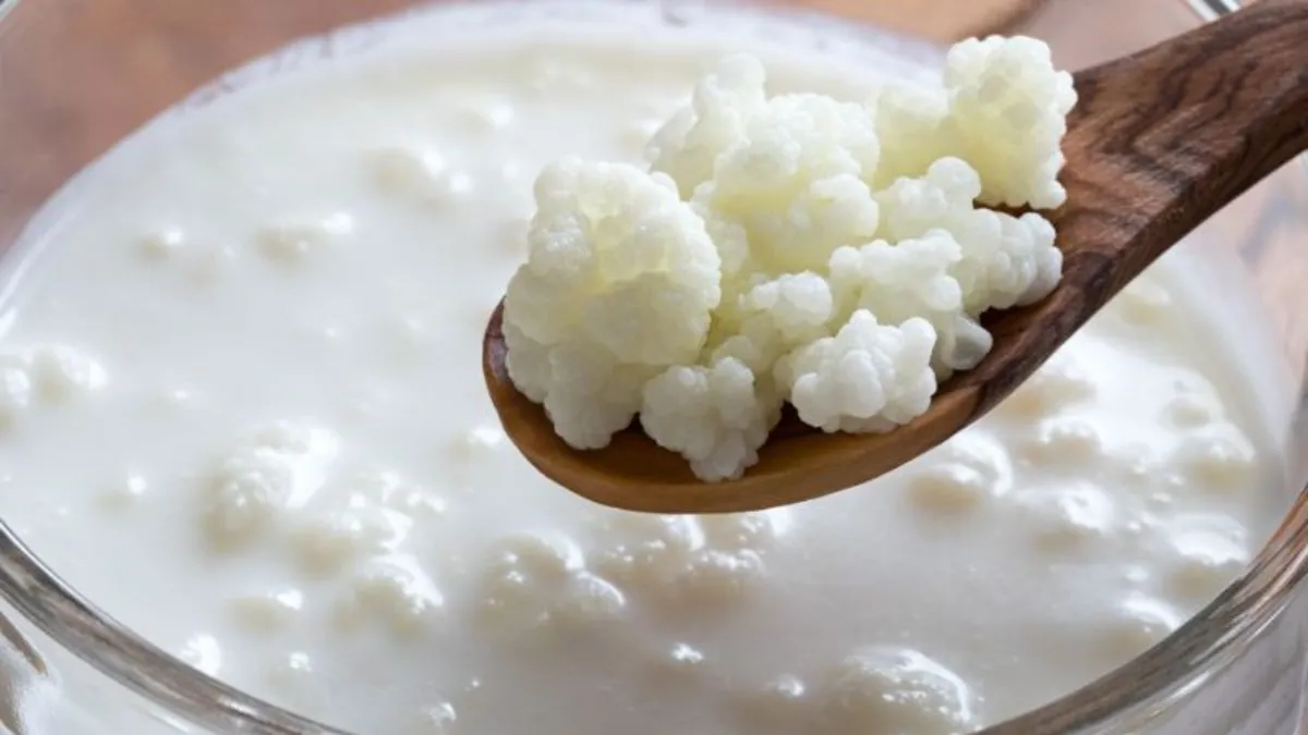 Sữa chua Kefir: Nguồn dinh dưỡng và lợi ích cho sức khỏe