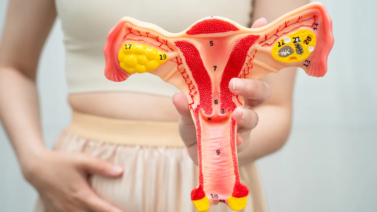 Viêm phụ khoa có tiêm HPV được không? Lưu ý quan trọng phụ nữ cần biết