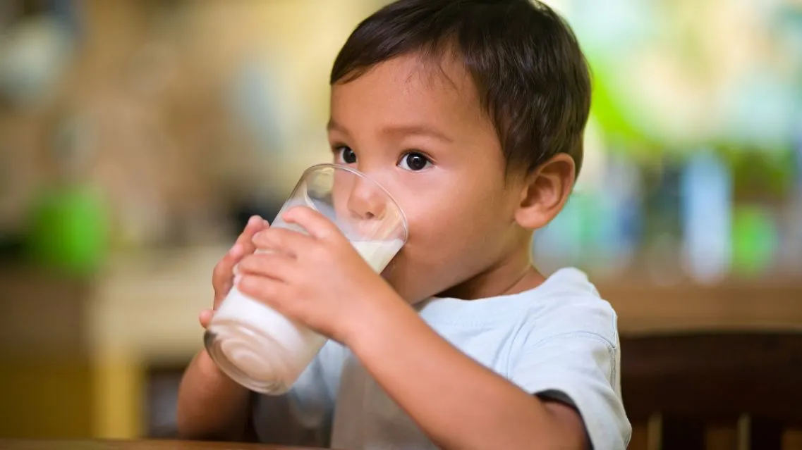 Sữa bột cho bé 2 tuổi tăng chiều cao: Cách chọn sữa cha mẹ nên biết
