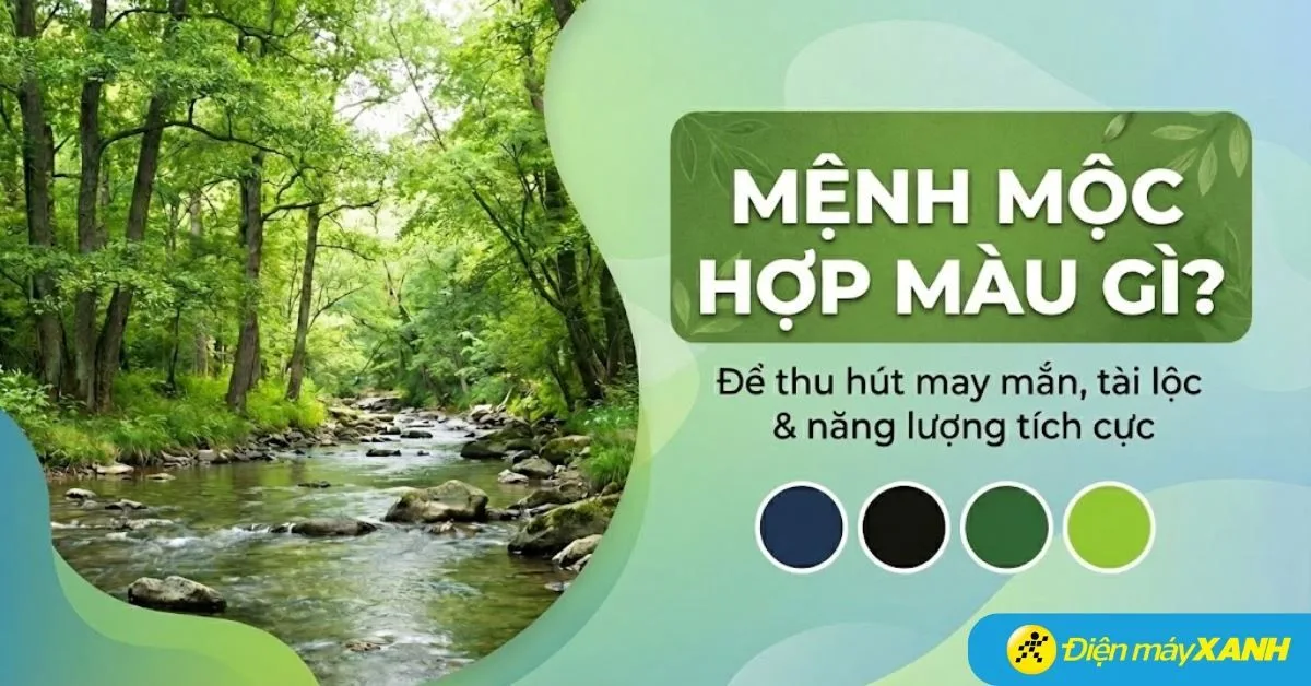 Mệnh Mộc hợp màu gì? Kỵ màu gì? Lưu ý khi chọn đồ gia dụng, công nghệ